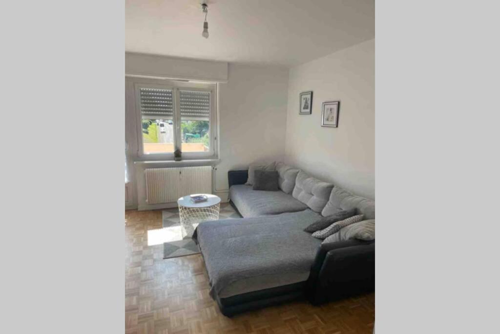 Tres Bel Appartement F4 Proche Gare Riedisheim Экстерьер фото